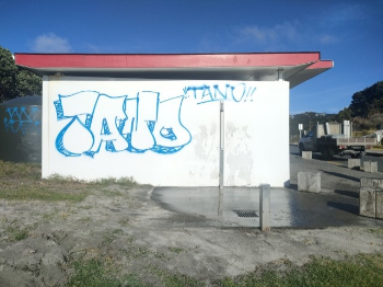 thumbnail Mangawhai Heads beach toilet block graffiti-924